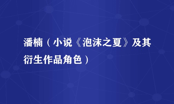 潘楠（小说《泡沫之夏》及其衍生作品角色）