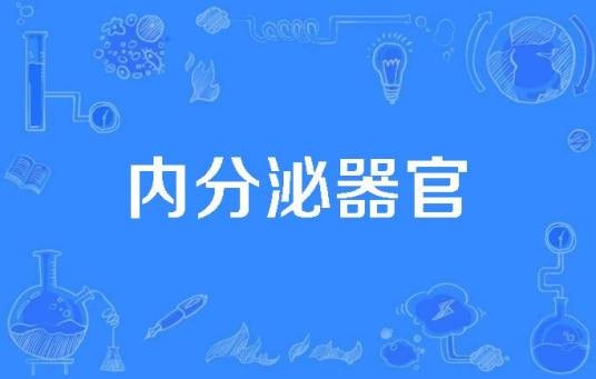 内分泌器官
