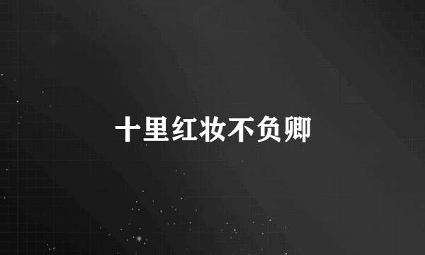 十里红妆不负卿