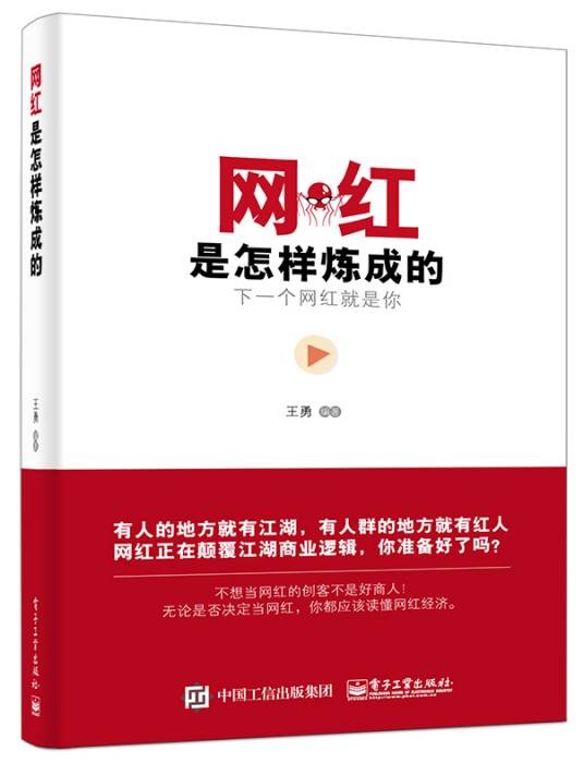 网红是怎样炼成的（2016年电子工业出版社出版的图书）