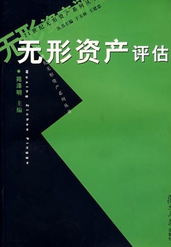 无形资产评估（2005年复旦大学出版社出版的图书）