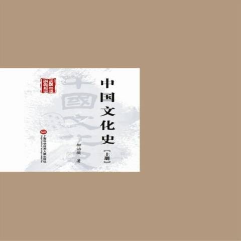 中国文化史（2015年上海科学技术文献出版社出版的图书）