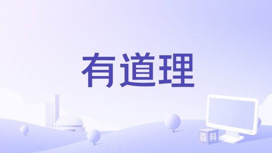 有道理（应用软件）