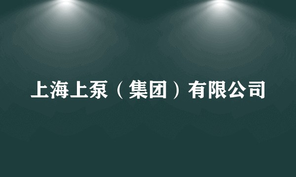 上海上泵（集团）有限公司