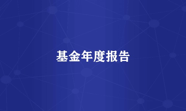 基金年度报告