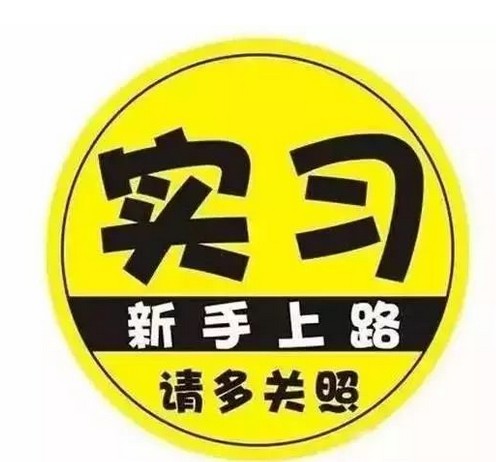 实习期（学生参加实践工作或驾驶人初次领证的考察期）