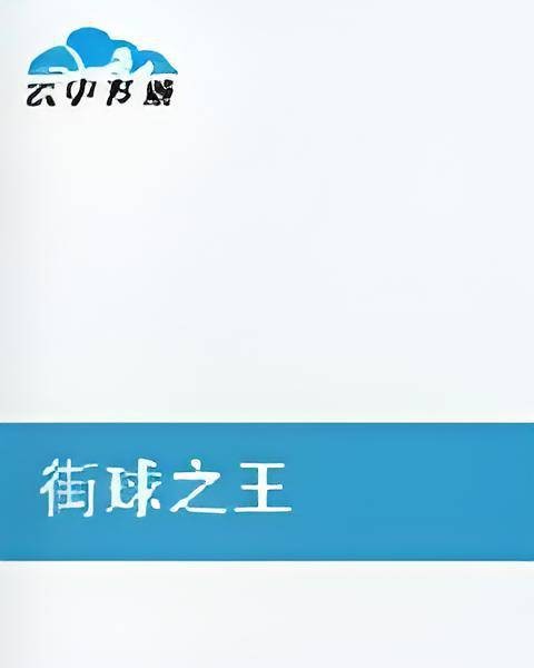 街球之王（单碗儿创作的网络小说）