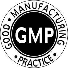 GMP审计