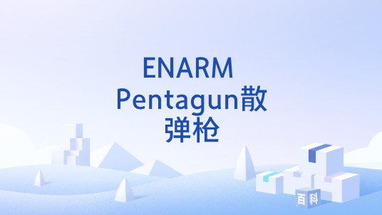 ENARM Pentagun散弹枪