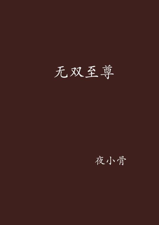 无双至尊（夜小骨创作的网络小说）