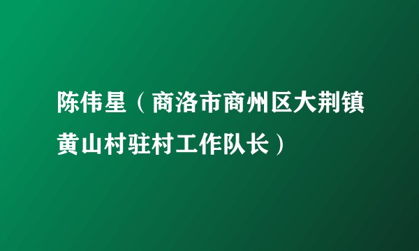 陈伟星（商洛市商州区大荆镇黄山村驻村工作队长）