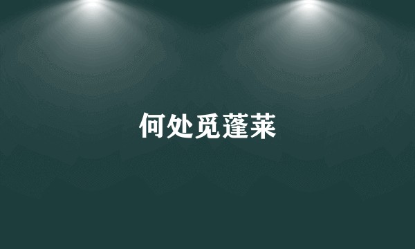 何处觅蓬莱