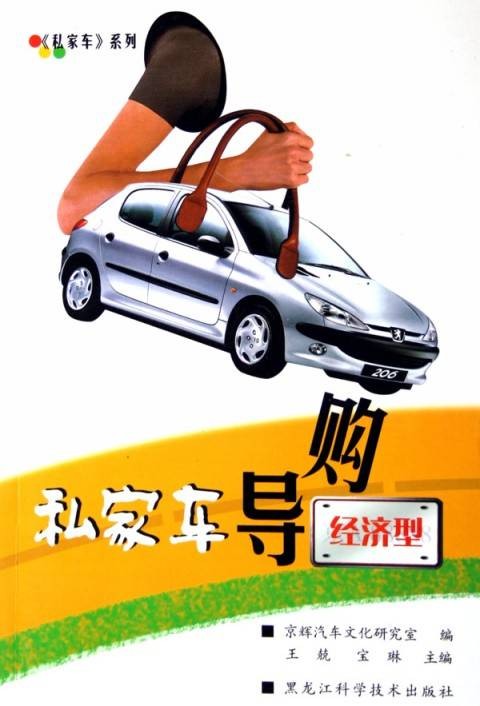 私家车导购：经济型