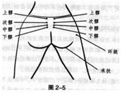 八髎