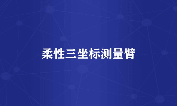 柔性三坐标测量臂