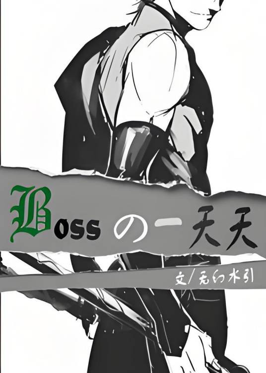 Boss的一天天