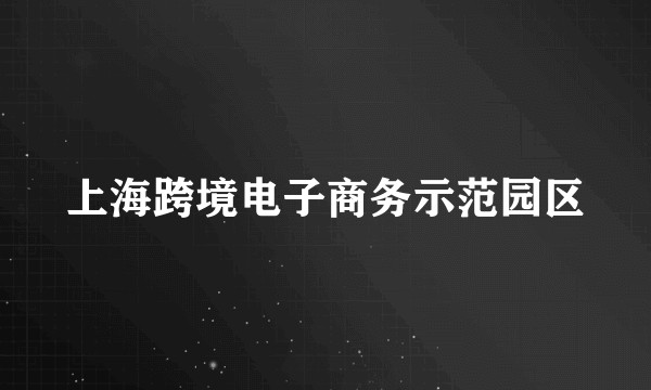 上海跨境电子商务示范园区