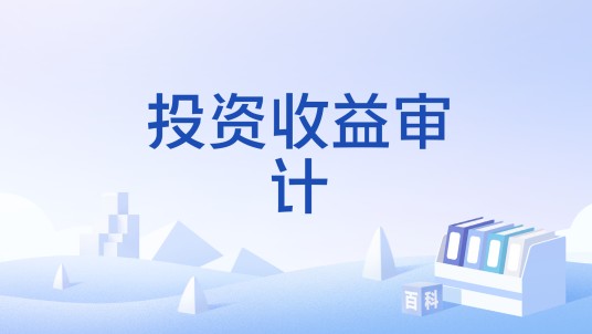 投资收益审计
