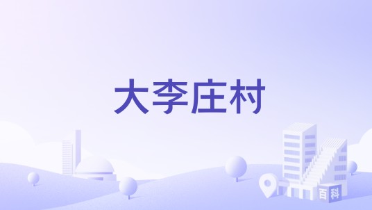 大李庄村（山东省嘉祥县孟姑集镇大李庄村）