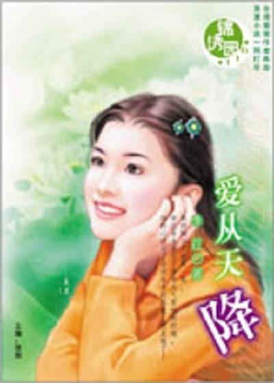 爱从天降（2005年内蒙古出版社出版的图书）