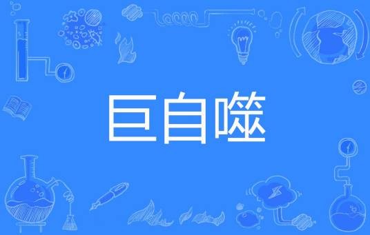 巨自噬