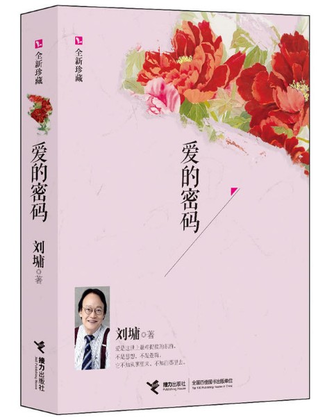 爱的密码（2013年接力出版社出版的图书）