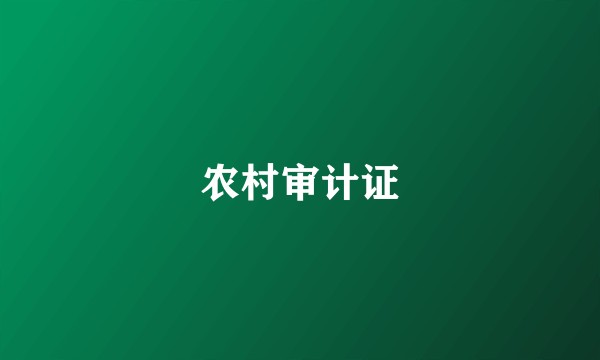 农村审计证
