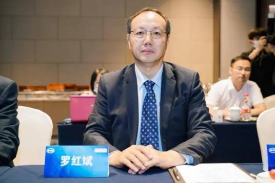 罗红斌（比亚迪股份有限公司高级副总裁）
