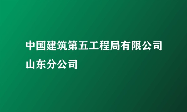 中国建筑第五工程局有限公司山东分公司