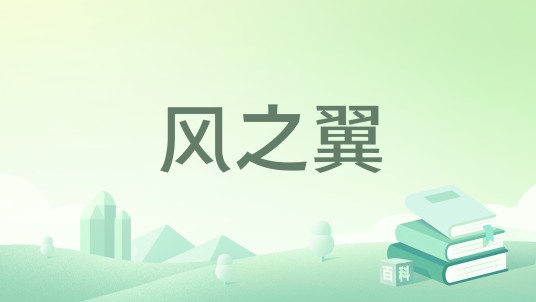 风之翼（大鹏所著小说）
