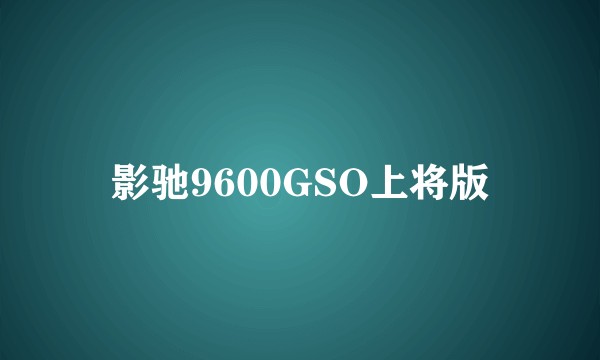 影驰9600GSO上将版