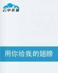 用你给我的翅膀飞