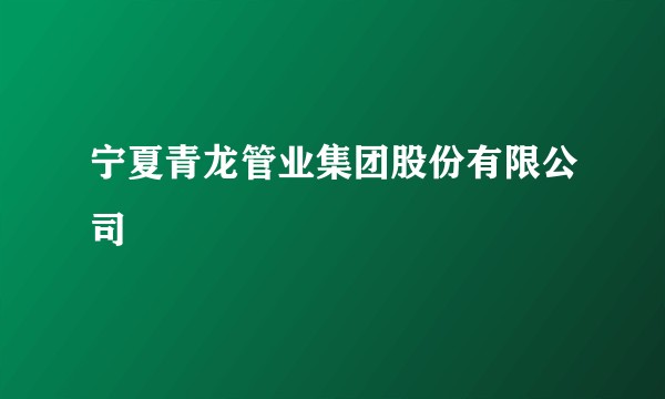 宁夏青龙管业集团股份有限公司
