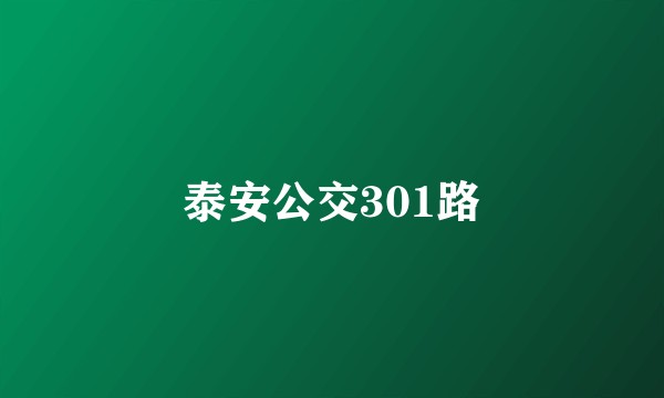 泰安公交301路