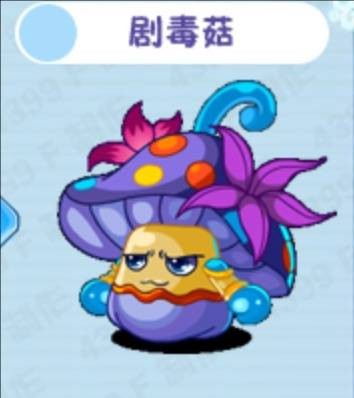剧毒菇