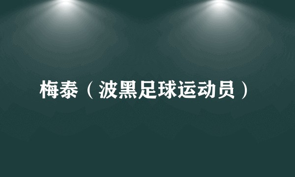 梅泰（波黑足球运动员）