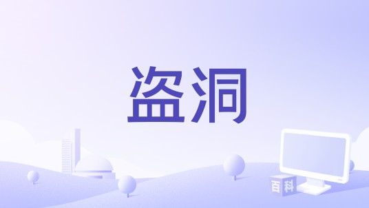 盗洞（2017年孙思伟、刘瀚骏导演的电影）