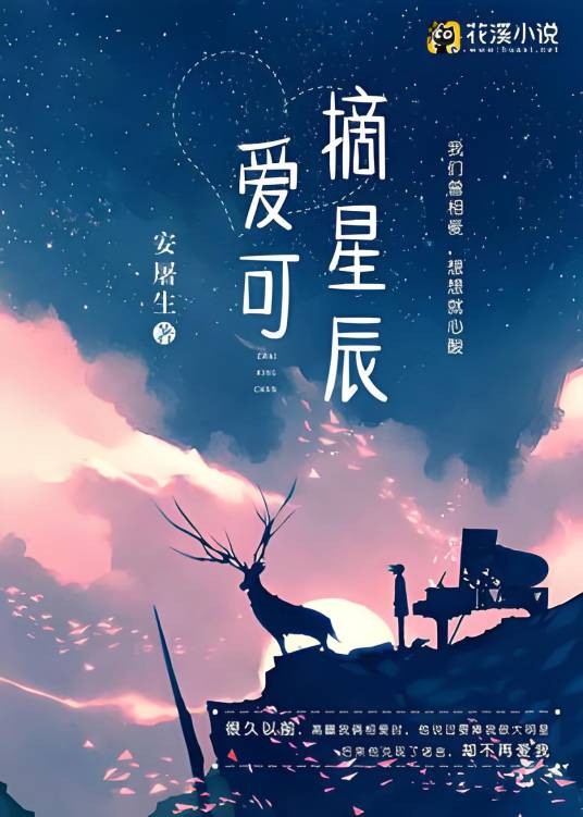 爱可摘星辰