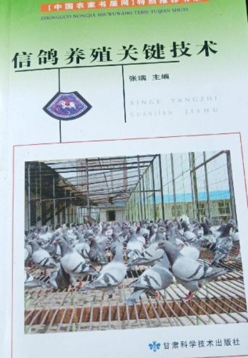 信鸽养殖关键技术