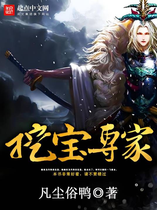 挖宝专家