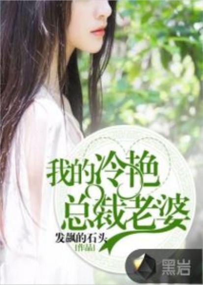 我的冷艳总裁老婆（发飙的石头创作的网络小说作品）