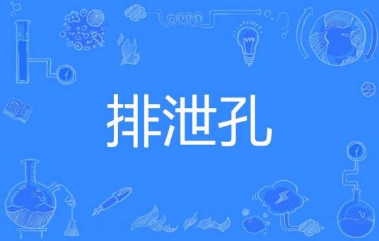 排泄孔