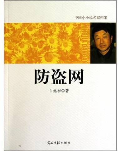 防盗网(2010年光明日报出版社出版的图书)