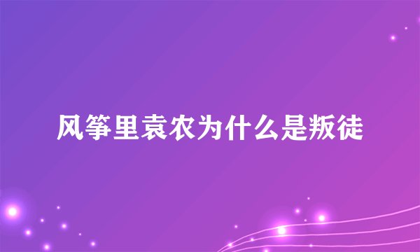 风筝里袁农为什么是叛徒