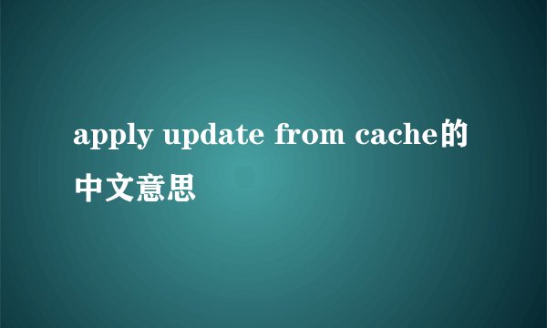 apply update from cache的中文意思
