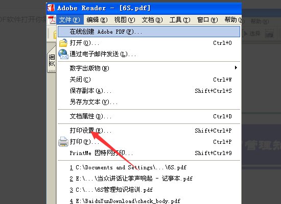 为什么我的PDF文件没有水印显示效果啊？
