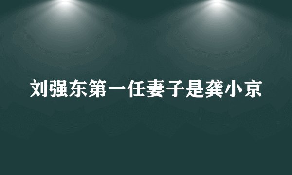 刘强东第一任妻子是龚小京