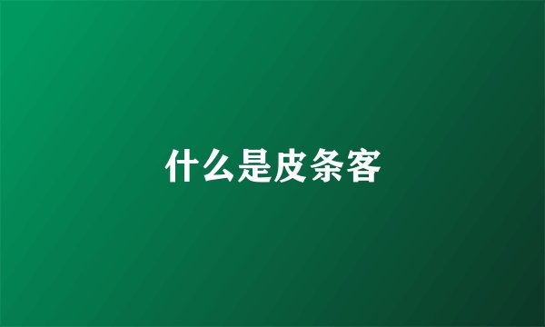 什么是皮条客