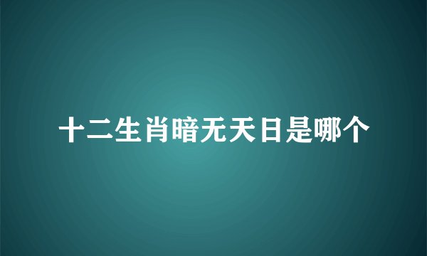 十二生肖暗无天日是哪个