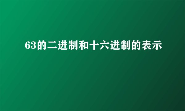 63的二进制和十六进制的表示